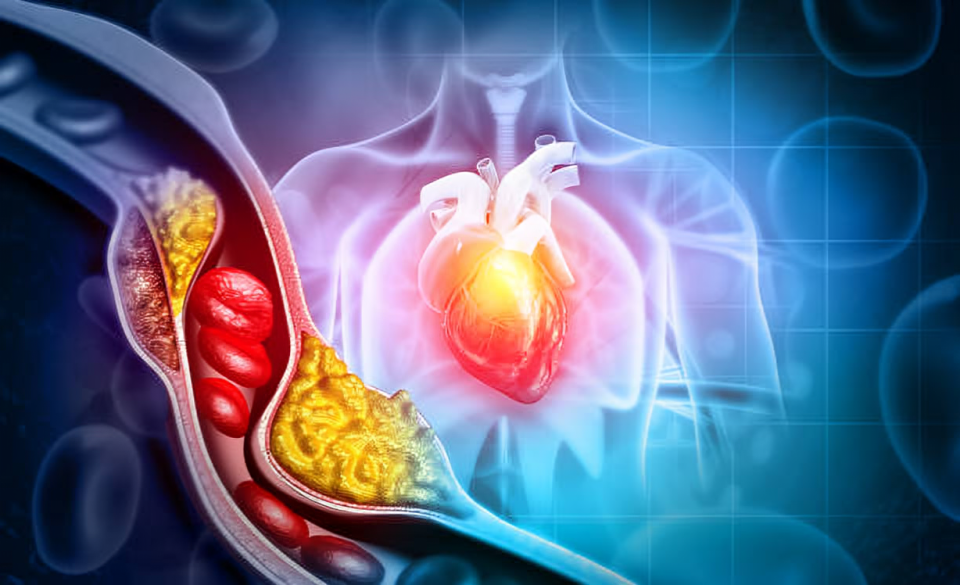 aliments contre le cholestérol ; découvrez les bonnes astuces à suivre.